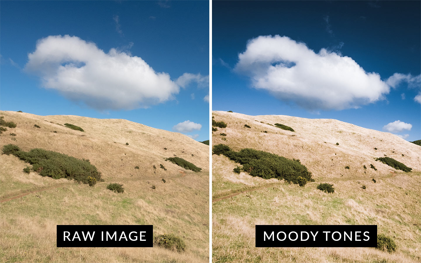 A before and after comparison showing the Moody Tones preset which is included in this moody Lightroom presets package.