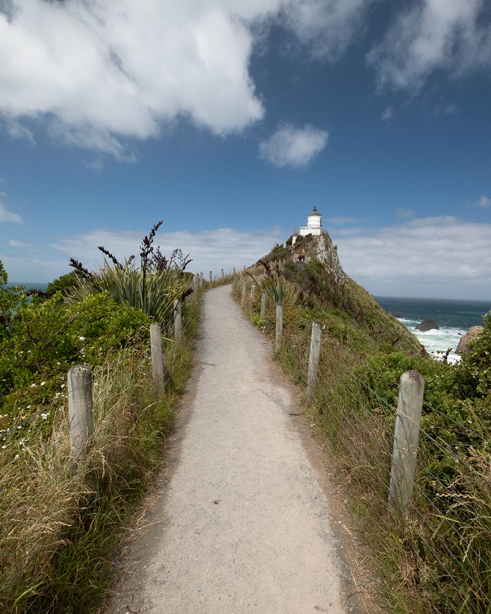 A footpath leads to a lighthouse, the path is flanked lots of green overgrown plants and grass. This is the RAW unedited image without a preset applied.