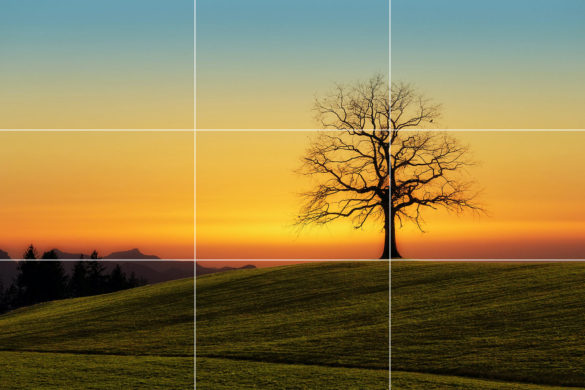 Landscape Photographer: The Ultimate How To Guide