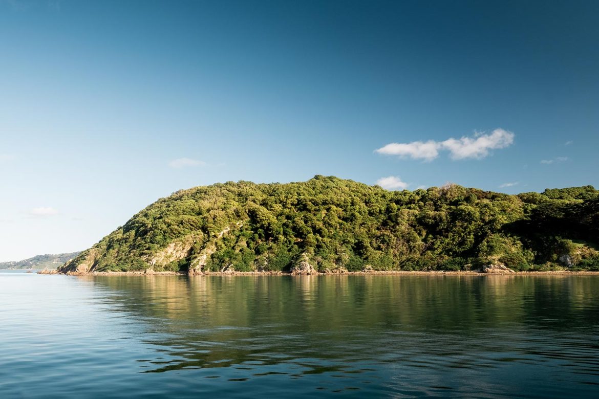 somes island day trip