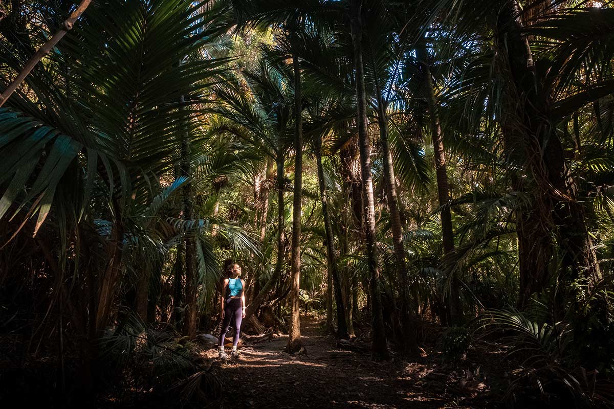 A woman stands under Nikau palm trees showing the scale of the trees around her.