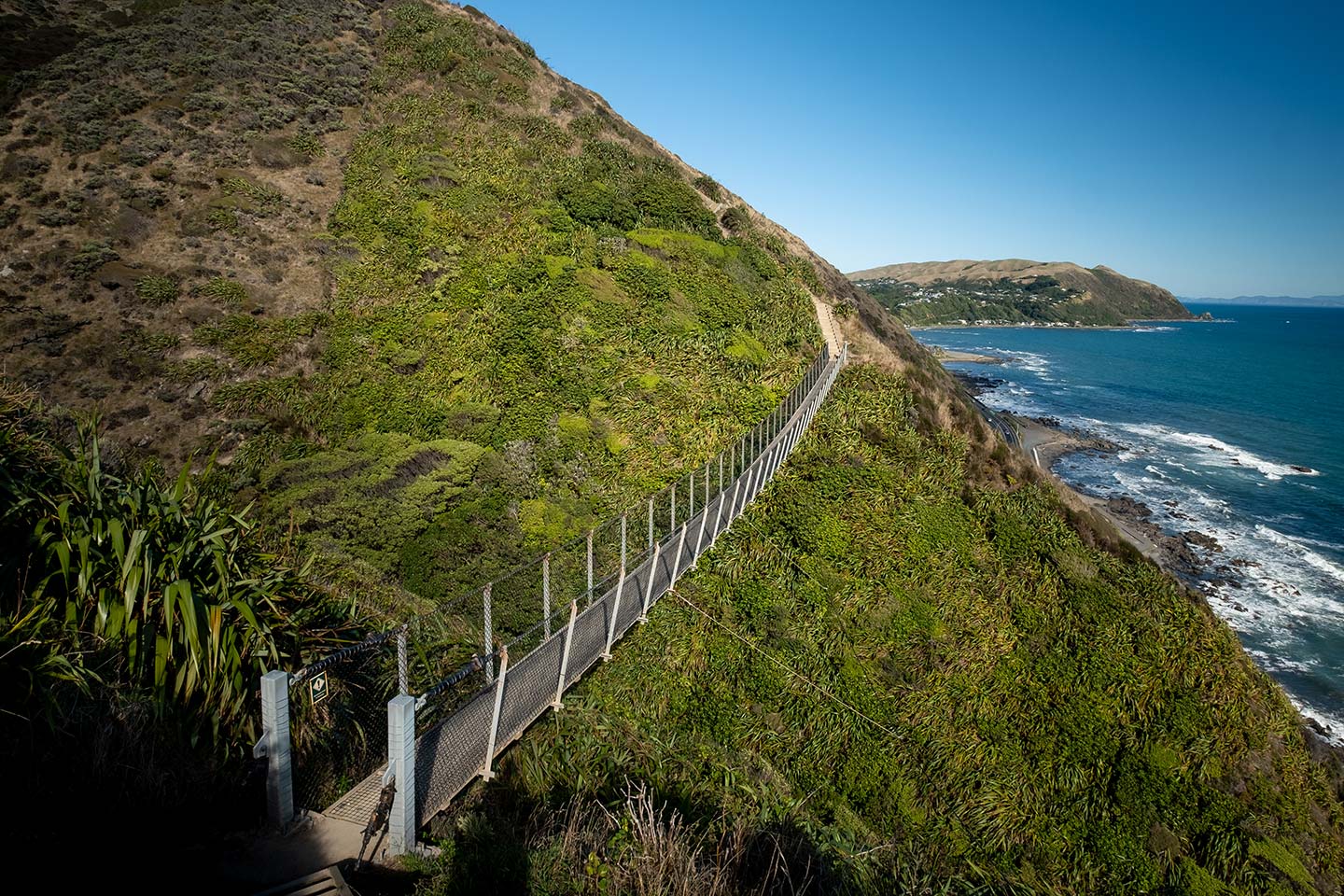 One of two swing bridges on the Paekakariki Escarpment track connects two hills. The land is covered in various green plants and in the background you can see the ocean.